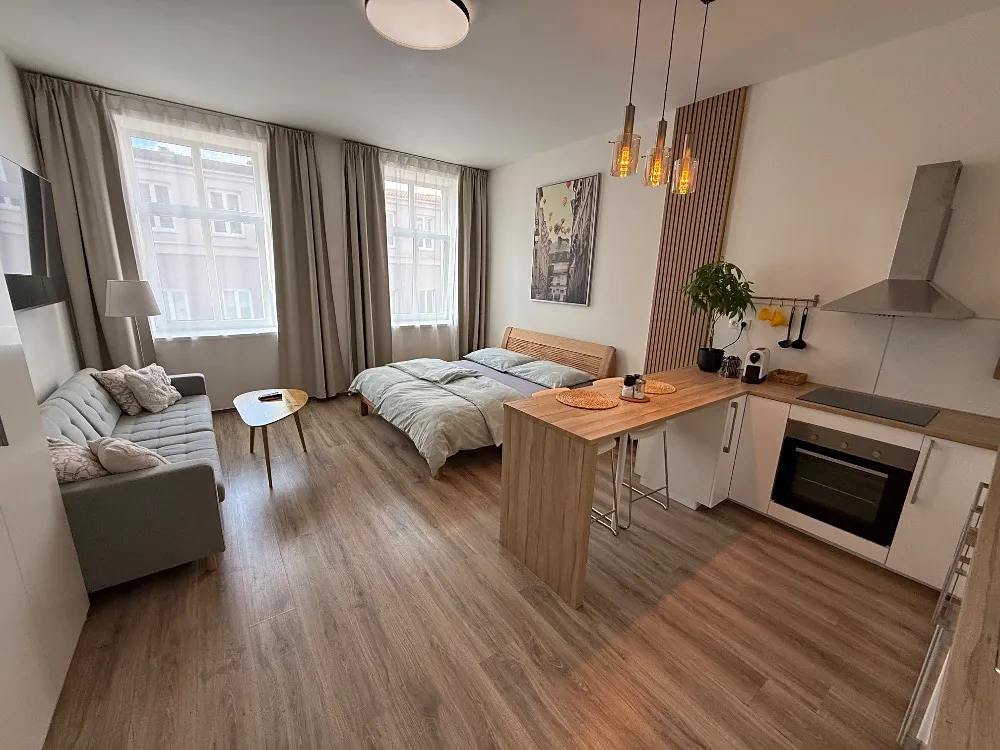 Pronájem bytu 1+kk 40 m²